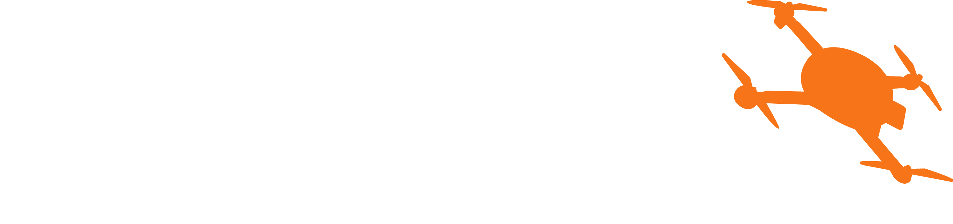 KissFly Logo